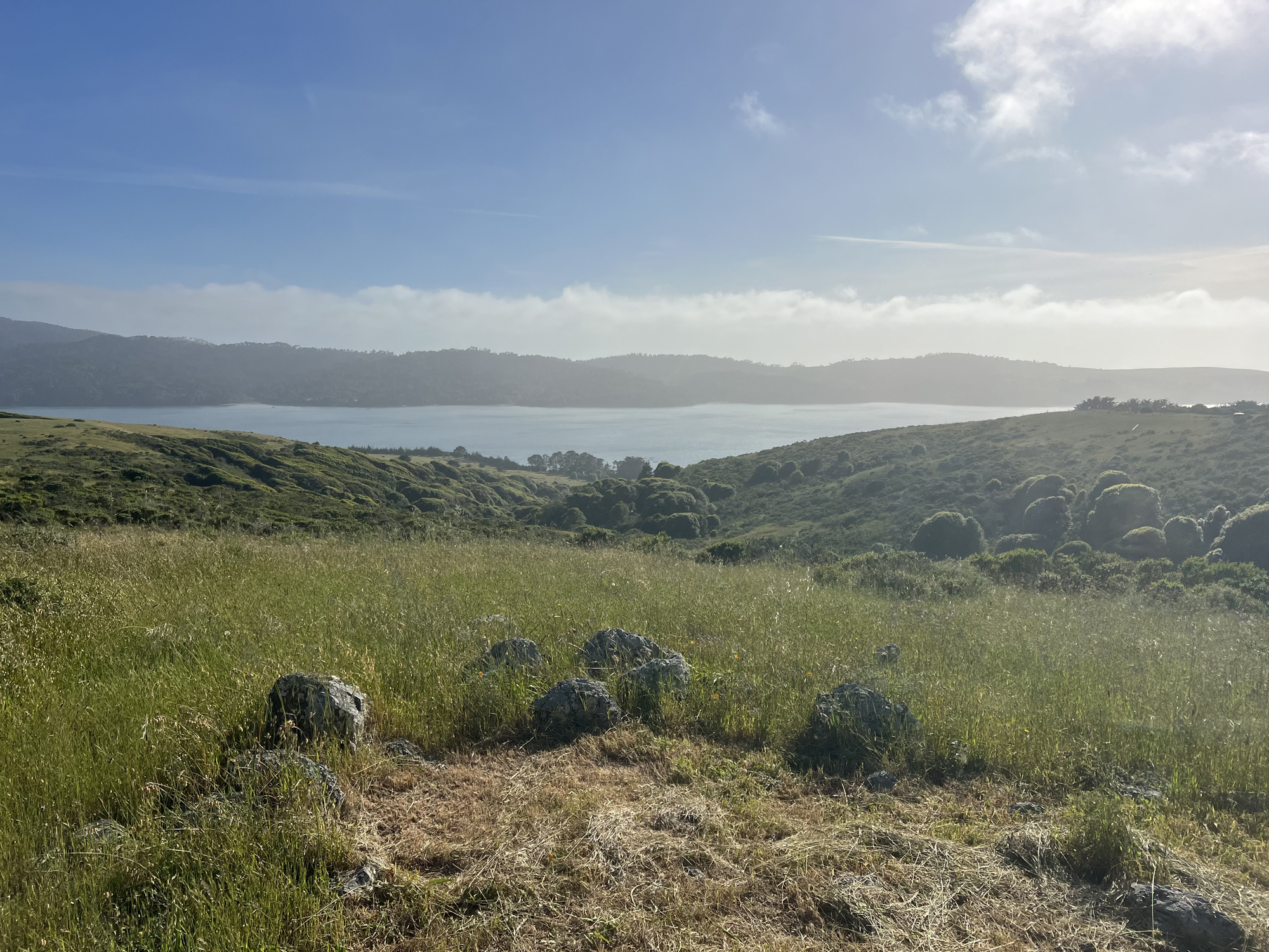 Point Reyes