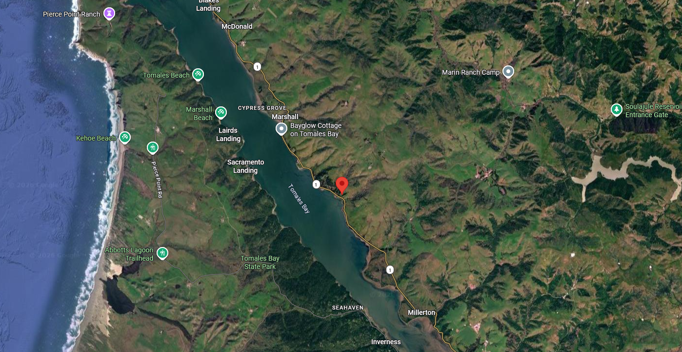 Google Map