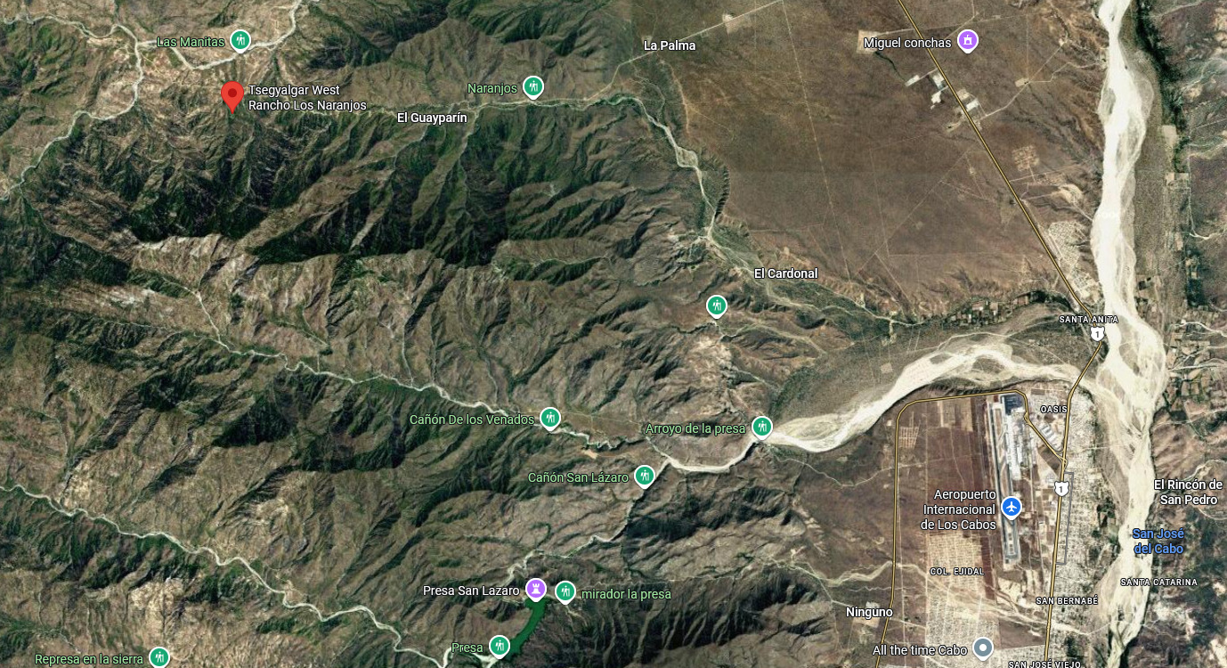 Google Map